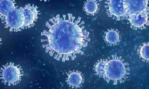 Coronavirus Cases Updates In