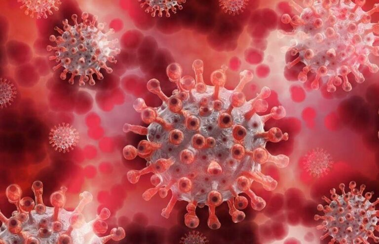 Corona Virus