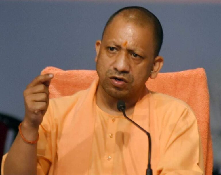Yogi