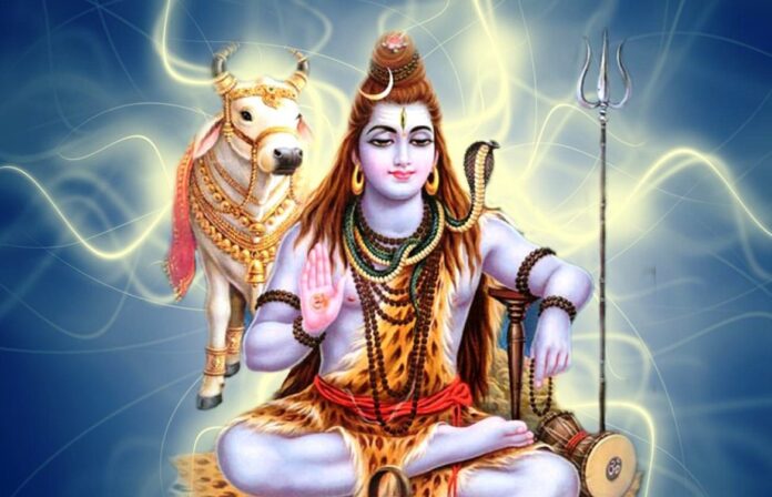 Shiv