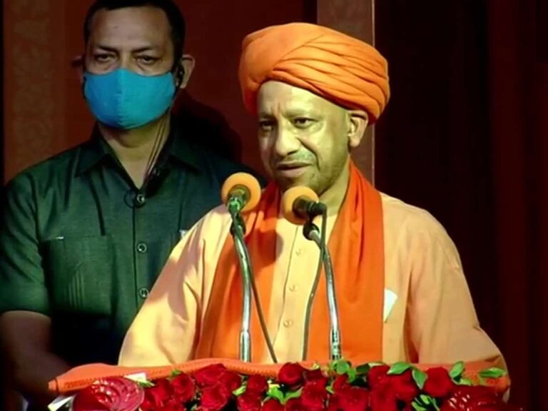 yogi