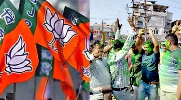 BJP Loss