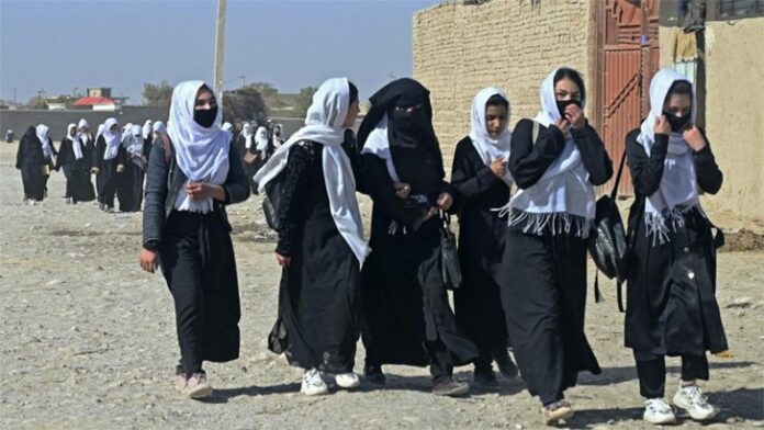 afghan