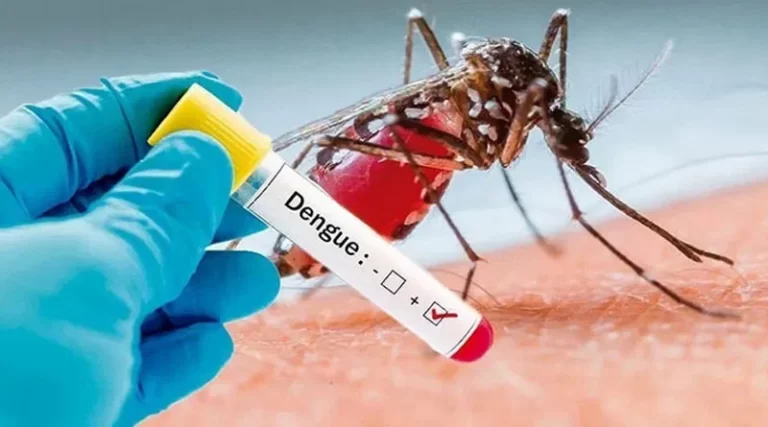 dengue