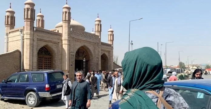 afghan