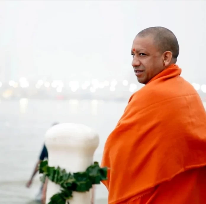 yogi