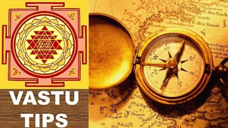 घर में रखें ये चीजें, दूर होते हैं पारिस्थितिक दोष, मां लक्ष्मी की कृपा बरसती है!