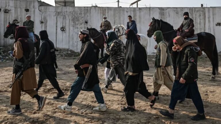  तालिबान के सत्ता में आने के बाद से सबसे अधिक आतंकवादी हमले हुए हैं पाकिस्तान में 