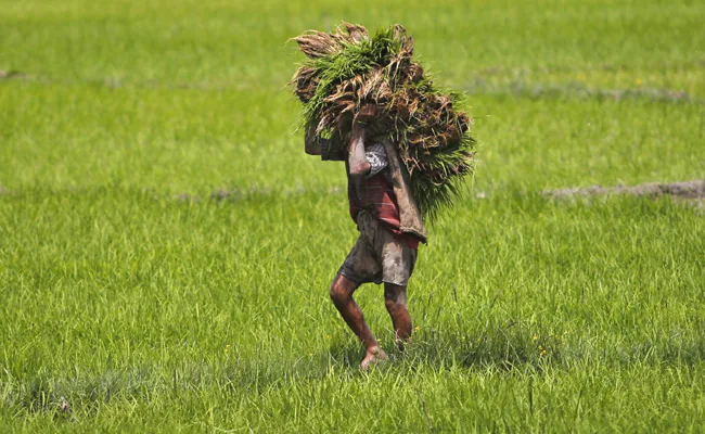 नए साल में शराब के नहीं होंगे दाम, किसानों की आय बढ़ाने पर फोकस
