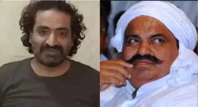 समाजवादी