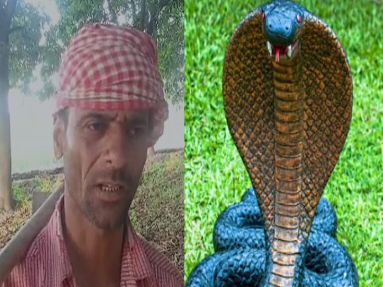 अल्फाज