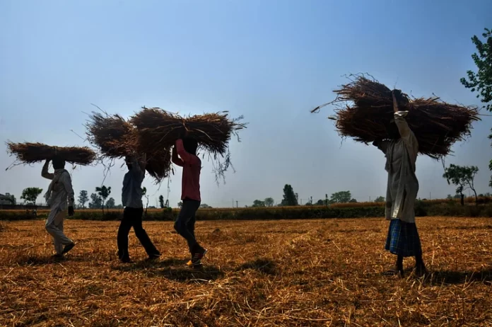 किसान सम्मान निधि